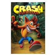 Crash Bandicoot Poster