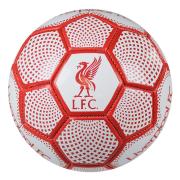 Liverpool Teknikboll Dm