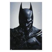 Batman Affisch Arkham 135