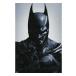 Batman Affisch Arkham 135