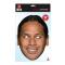 Nfl Mask Troy Polamalu