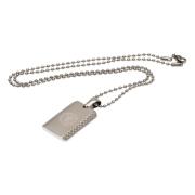 chelsea-dog-tag-med-kedja-pt-1