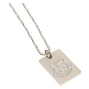 everton-dog-tag-med-kedja-silver-1