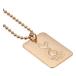 Tottenham Hotspur Dog Tag Med Kedja Guld