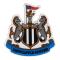 Newcastle United Kylskåpsmagnet 3d