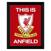 Liverpool Bild Med Ram Tia 16 X 12