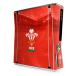 Wales Xbox 360 Konsoll Skin Slim