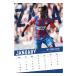 Crystal Palace Kalender 2020