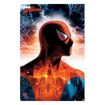 Spider-man Poster