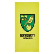Norwich City Badlakan