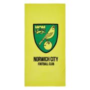 norwich-city-badlakan-1