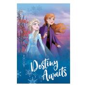 Frozen 2 Poster Destiny