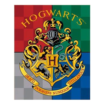 Harry Potter Fleecefilt Hogwarts