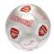 Arsenal Fotboll Signature Sv