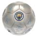 Manchester City Fotboll Signature Sv