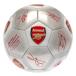 Arsenal Fotboll Signature Sv