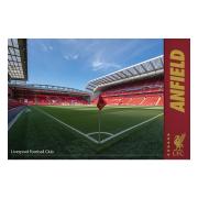 Liverpool Affisch Anfield 33