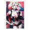 Dc Comics Poster Harley Quinn