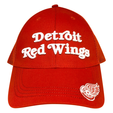 Detroit Red Wings Snap 17