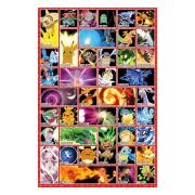 Pokemon Poster Moves 97