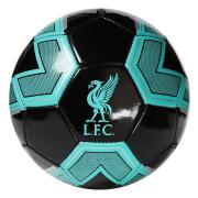 liverpool-fotboll-tidepool-1