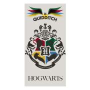 Harry Potter Handduk Quidditch