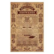 harry-potter-poster-hogwarts-quidditch-173-1