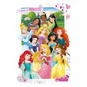 disney-princess-poster-286-1