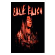 Billie Eilish Poster Sparks