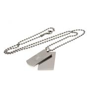 chelsea-dubbel-dog-tag-med-kedja-1