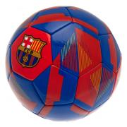 Barcelona Fotboll Rx