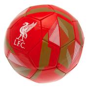 Liverpool Fotboll Rx