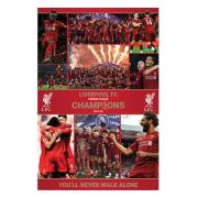 liverpool-poster-premier-league-champions-season-12-1