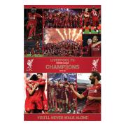 Liverpool Poster Premier League Champions Season 12