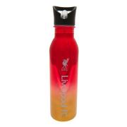 Liverpool Vattenflaska Uv Metallic