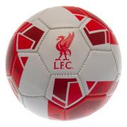 Liverpool Trickboll Rw