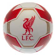 Liverpool Fotboll Rw