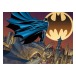 Batman 3d Pussel 500 Bitar