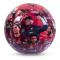 Liverpool Fotboll Med Foto Premier League