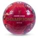 Liverpool Fotboll Med Foto Premier League