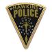 Stranger Things Emblem Hawkins Police