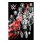 Wwe Poster Superstars 230