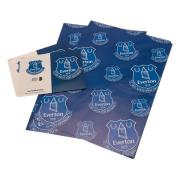 everton-presentpapper-1