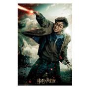 harry-potter-3d-pussel-harry-1