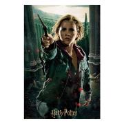 harry-potter-3d-pussel-hermione-1