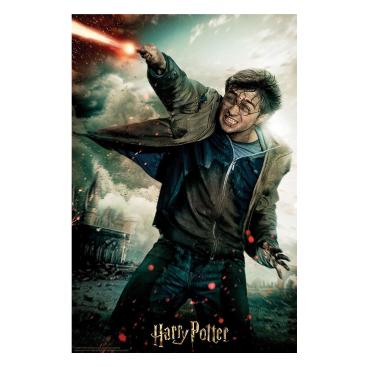 Harry Potter 3d Pussel Harry