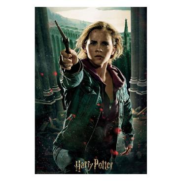 Harry Potter 3d Pussel Hermione