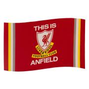 Liverpool Flagga Tia