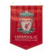 Liverpool Stor Vimpel Logga