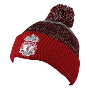 liverpool-skidmossa-ferndale-gr-1